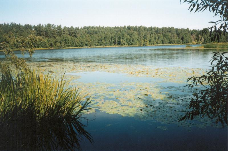File:Pärnu jõgi Sindi-Lodjal.jpg